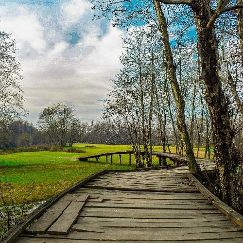 رحیم رمضانی دلم از تو گرفته بی تو دنیا سرابه رفتی